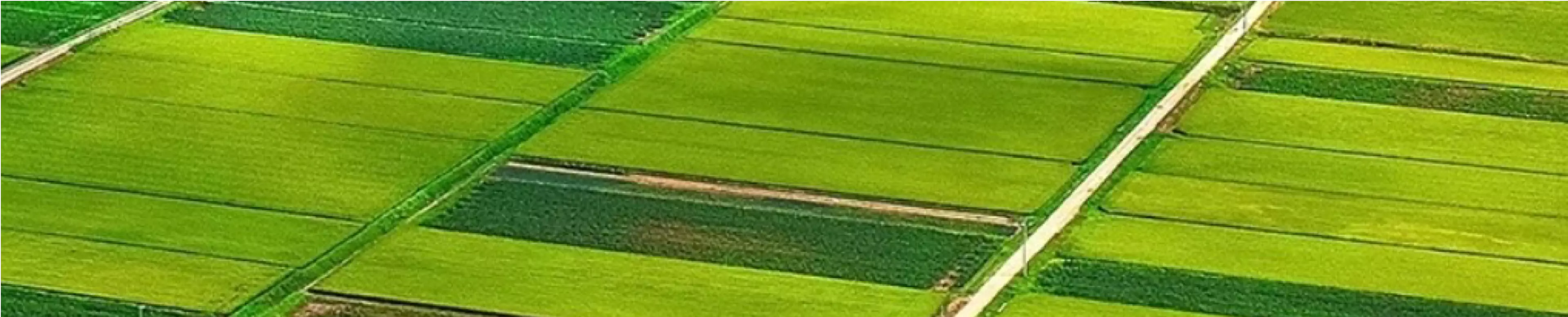 加盟条件背景